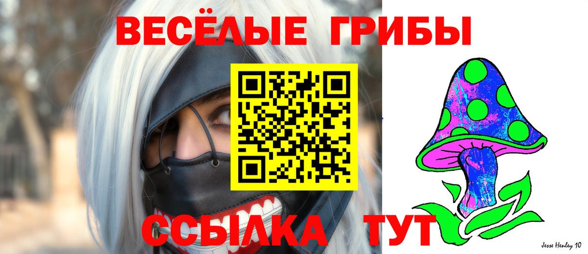 Галлюциногенные грибы Psilocybine cubensis Миасс